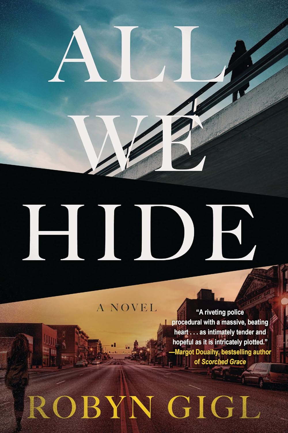 All We Hide: A Novel