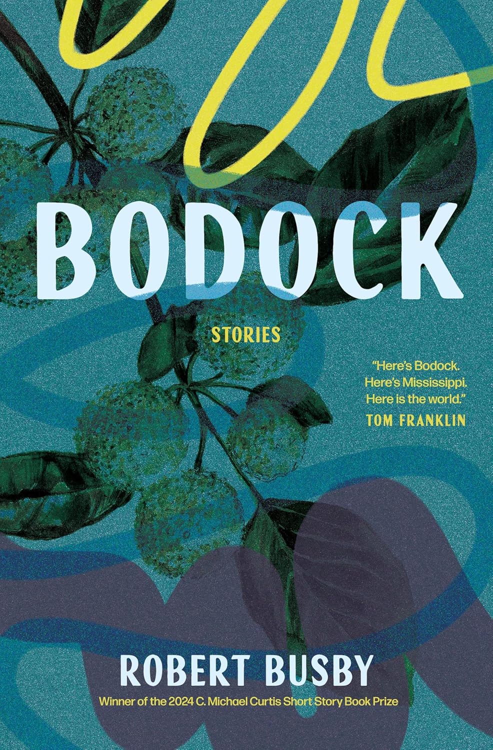 Bodock: Stories