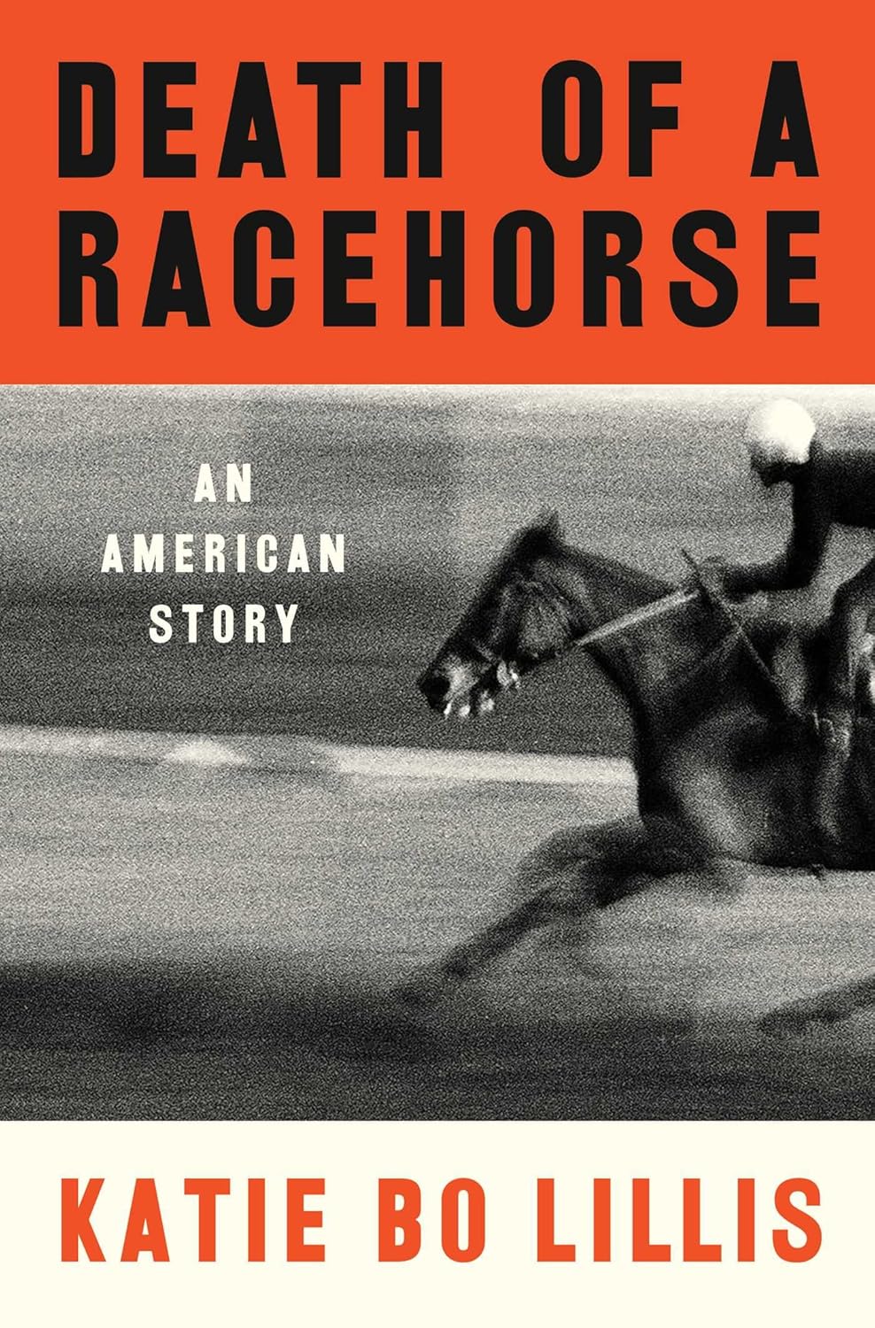 Death of a Racehorse: An American Story