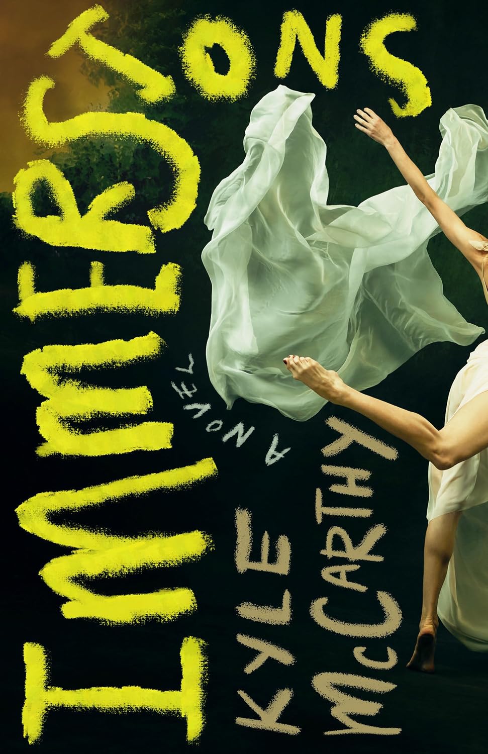 Immersions: A Novel