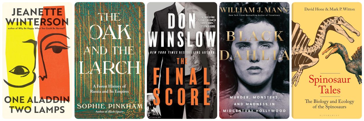 Our Week in Reviews: 2/7/26