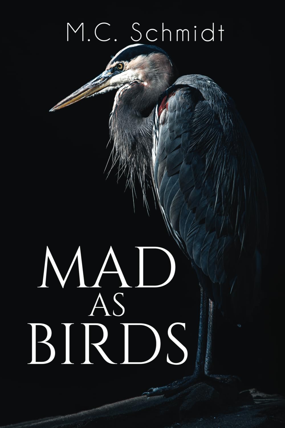 Mad as Birds