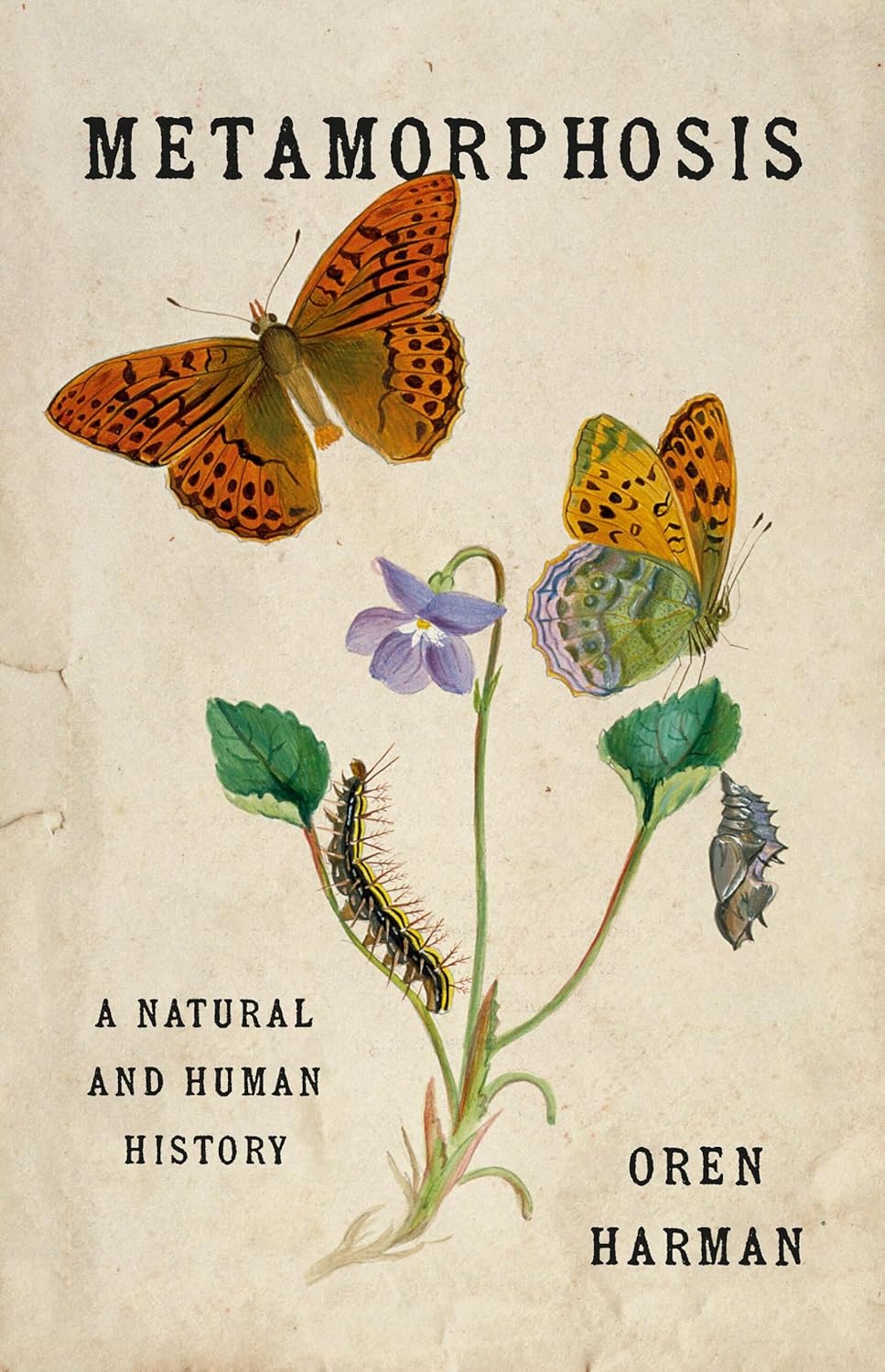Metamorphosis: A Natural and Human History