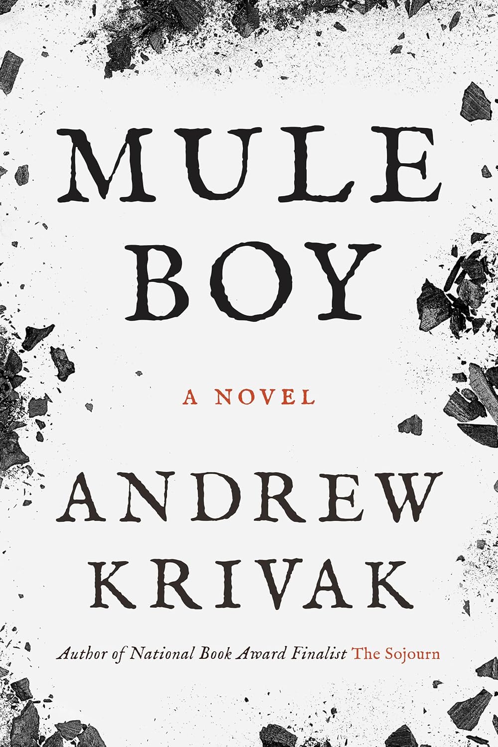 Mule Boy: A Novel