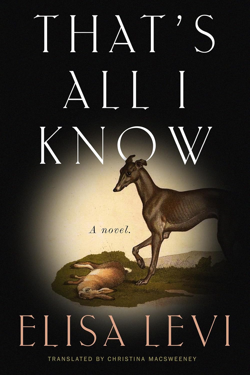 That’s All I Know: A Novel