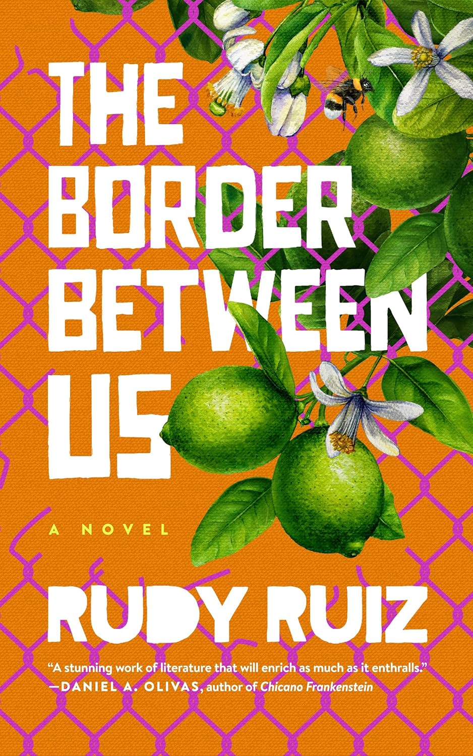 The Border Between Us: A Novel