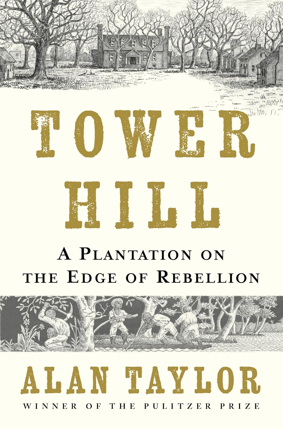 Tower Hill: A Plantation on the Edge of Rebellion