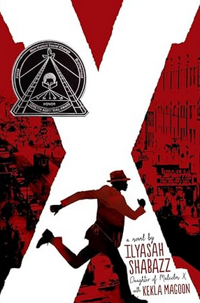 X: A Novel